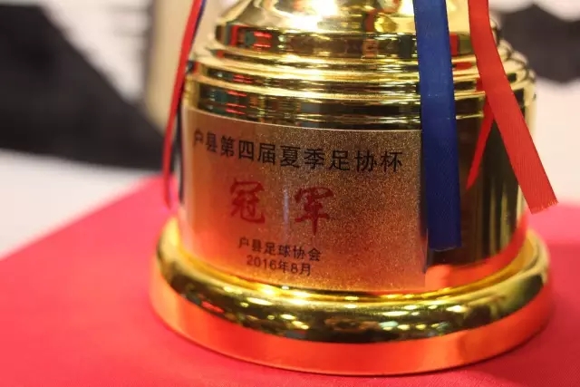 台中“蓝白合作”启动！卢秀燕任竞选总部荣誉主委